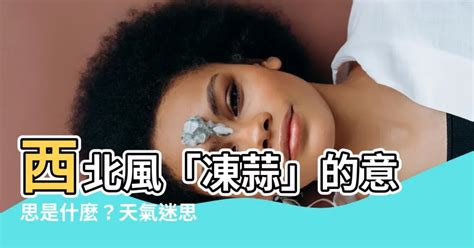 西北風意思|西北風